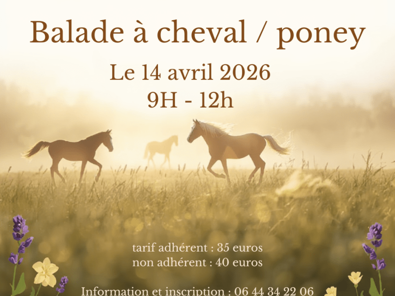 A VOS AGENDAS !!! Les stages d&rsquo;avril sont disponibles.Renseignements au 0622900296 ou&nbsp;0644342206